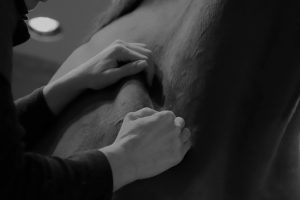 COMMENT DETENDRE UN CHEVAL NERVEUX ?