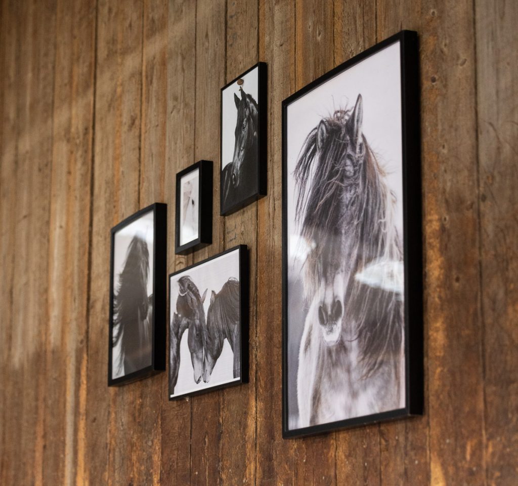 centre-balneotherapie-equine-interieur